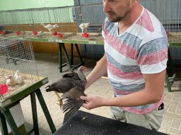 Tierbesprechung 2022 in Weener / Ostfriesland